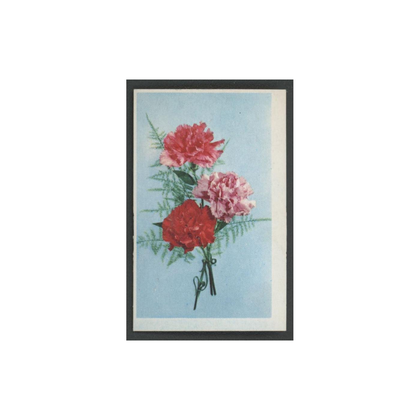 1970 Trucards Flowers Carnation #1