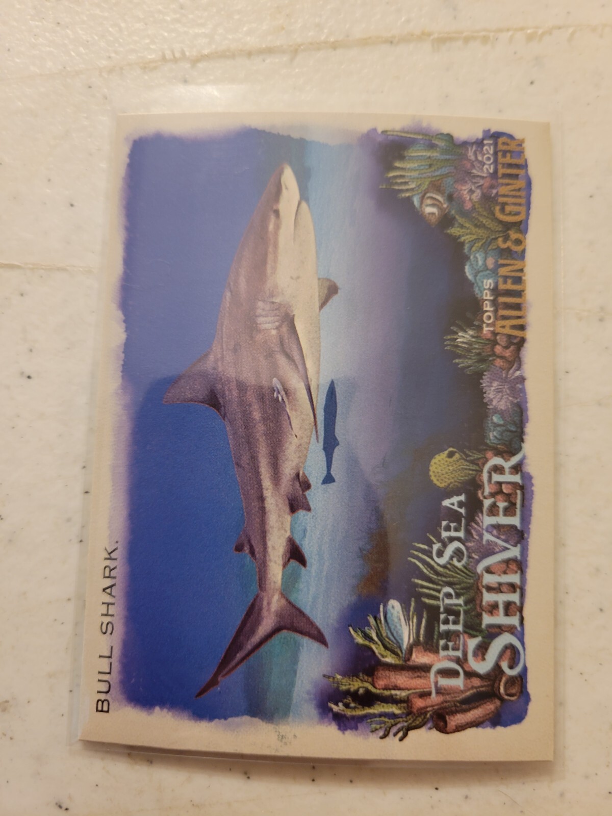 2021 TOPPS ALLEN & GINTER DEEP SEA SHIVER