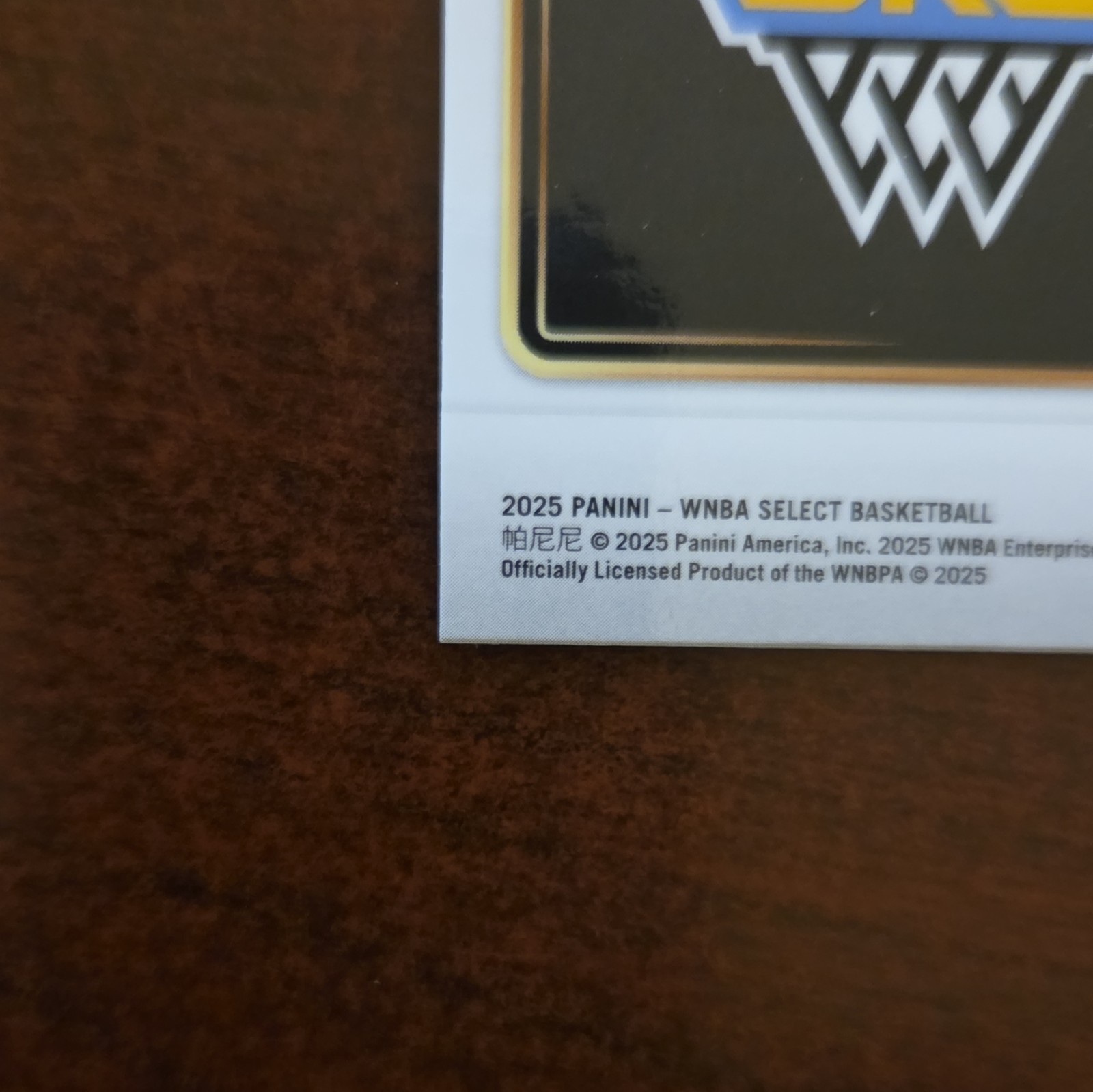 Panini 2025 WNBA Select Snapshots #13 Courtney Vandersloot Chicago Sky