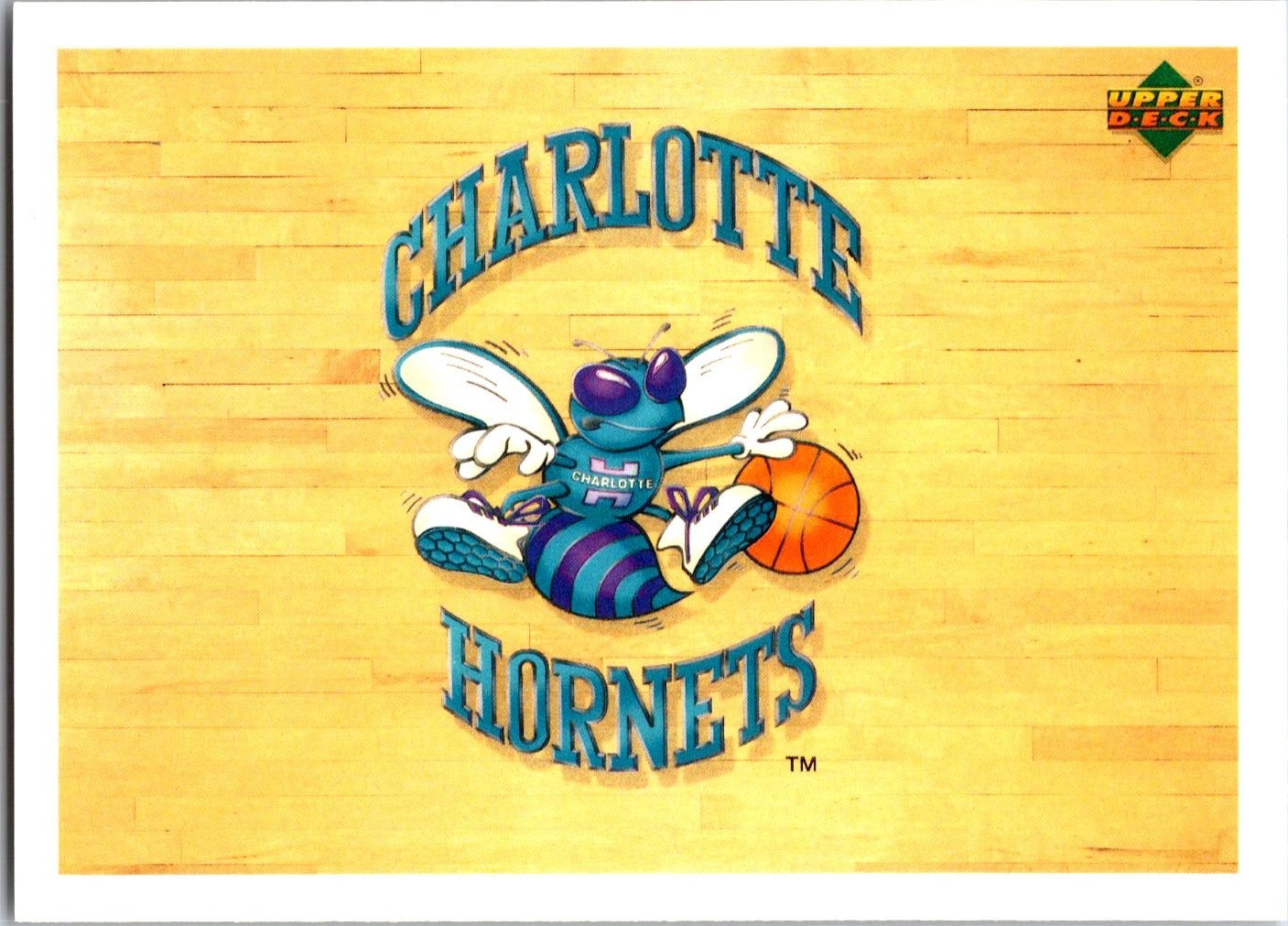 1991-92 Upper Deck International Italian Team Logo: Charlotte Hornets