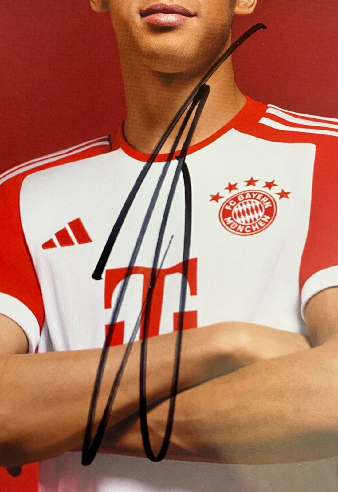 2023/2024 Jamal Musiala Signed Bayern Munich Club Card Authentic Auto Germany
