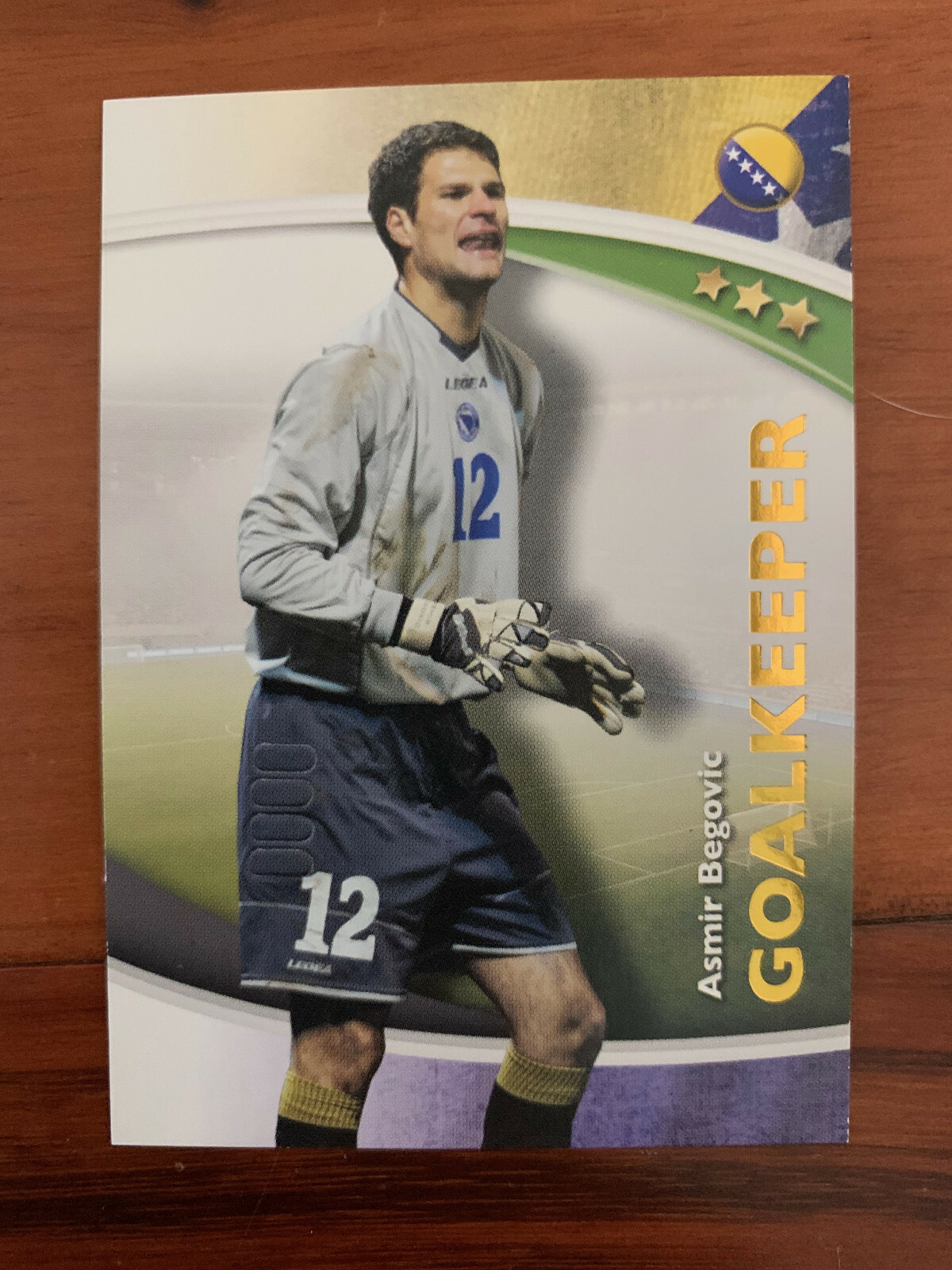 2014 Futera World Football Soccer Card – Bosnia ASMIR BEGOVIC Mint