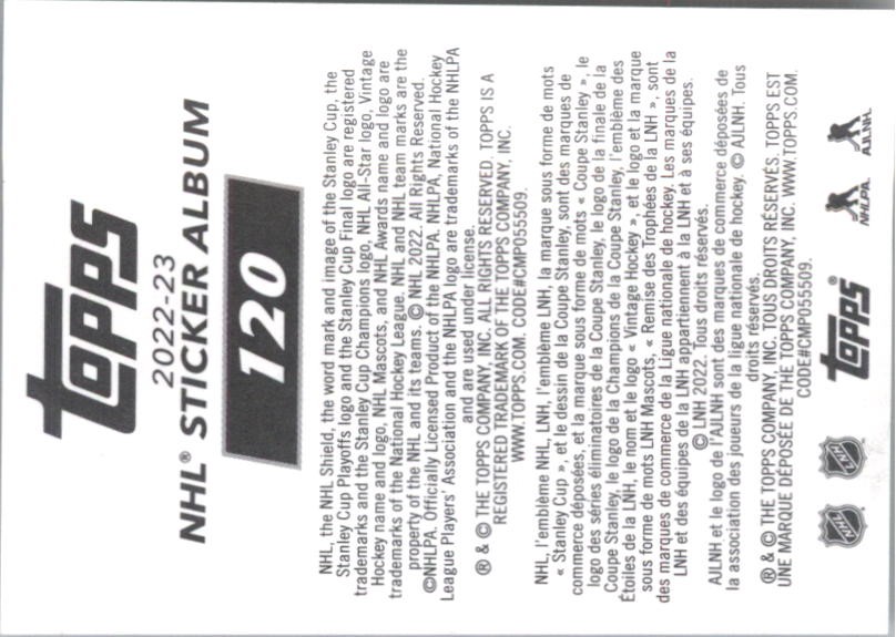 2022-23 Topps Stickers #120 Team Logo FOIL – HKY