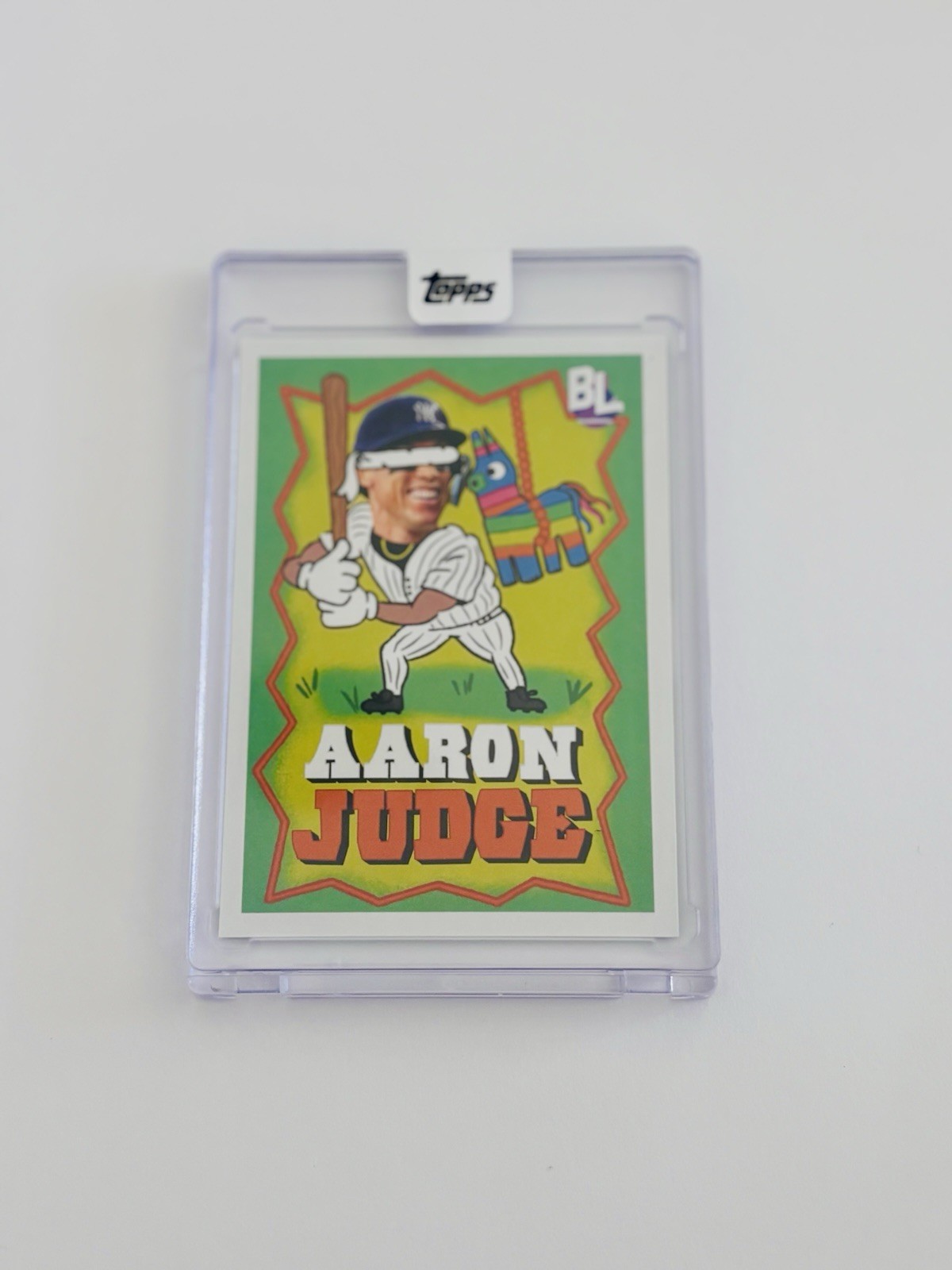 Aaron Judge Encased Display Card New York Baseball Fan Display