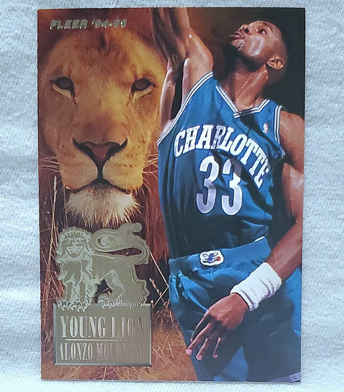 1994-95 Fleer Young Lions #4 Alonzo Mourning Charlotte Hornets Card For Sale
