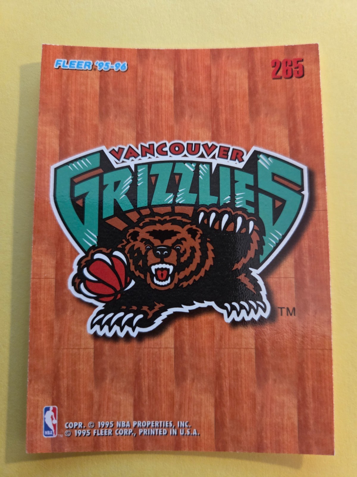 Vancouver Grizzlies 1995-96 Fleer European Team Card #265 RARE 90s NBA