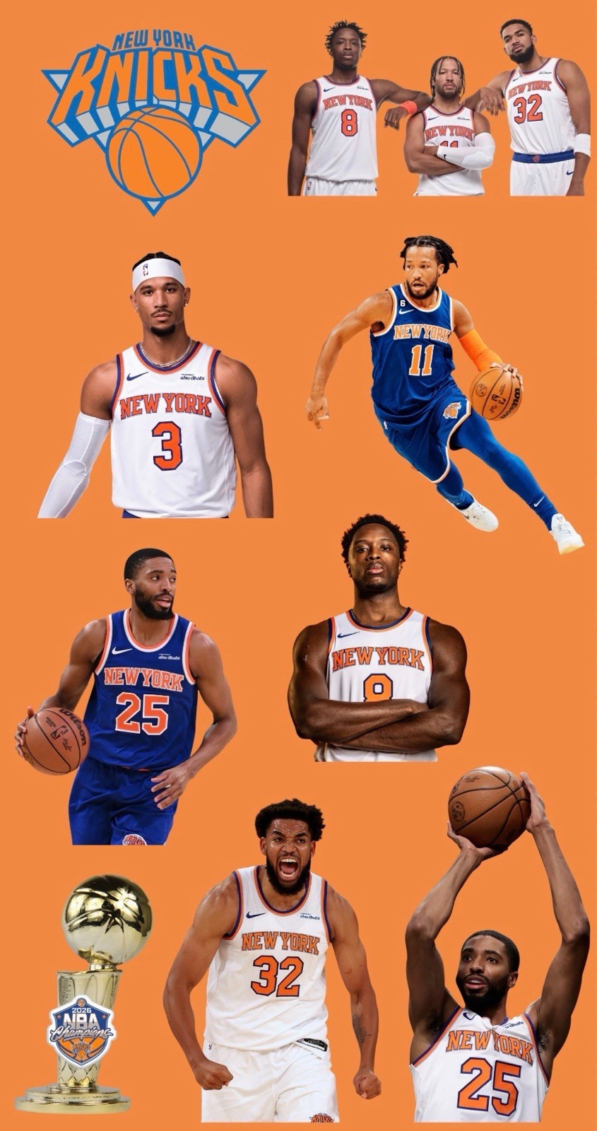 New York Knicks Sticker Sheet 4×7” NBA Finals 9 Stickers