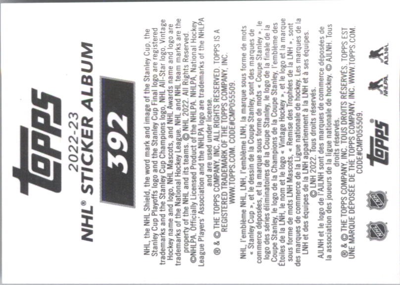 2022-23 Topps Stickers #392 Team Logo FOIL – HKY