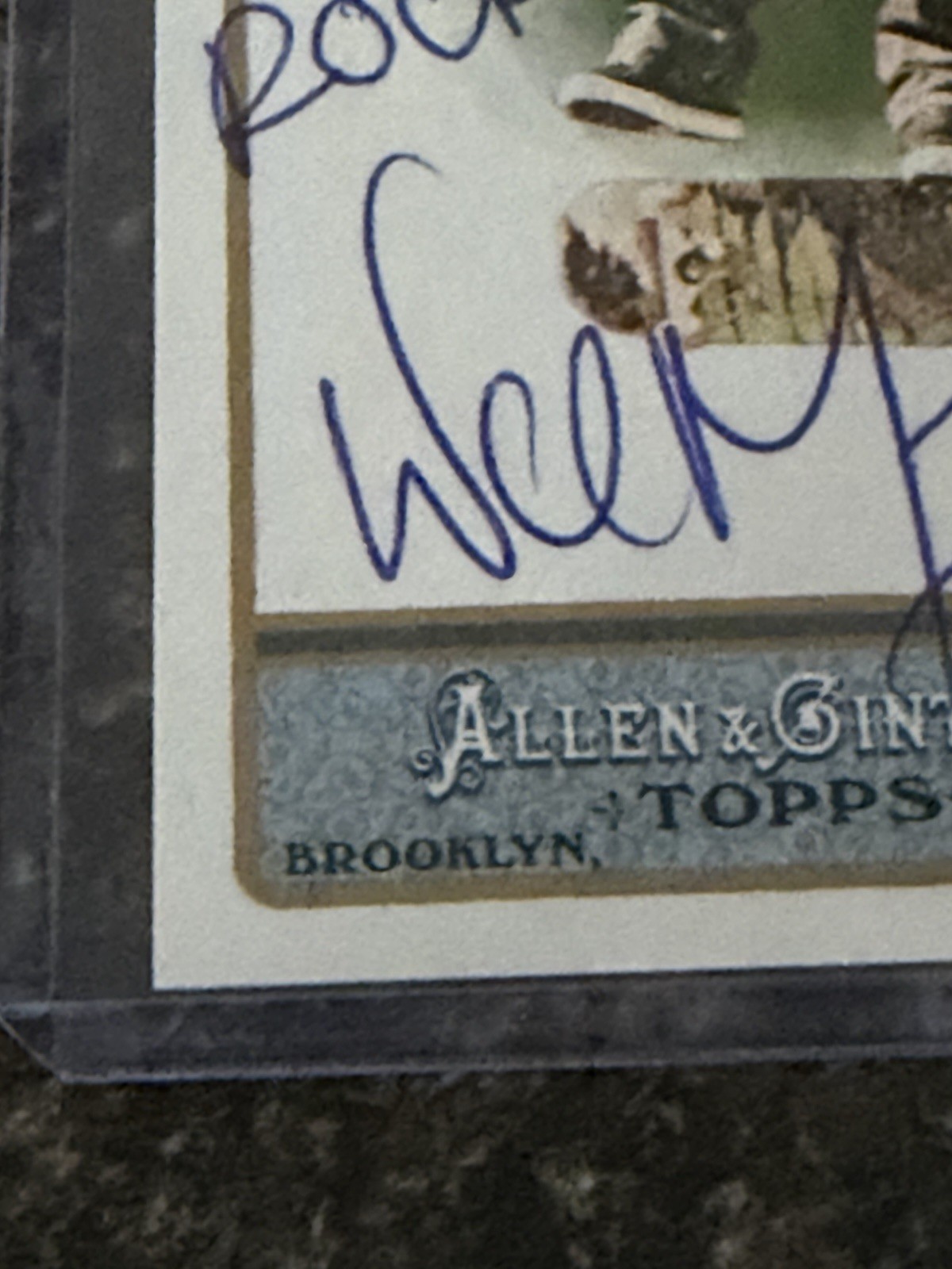 Wee Man Jason Acuña Signed 2011 Topps Allen Ginter Jackass Autographed 🛹 🔥Auto