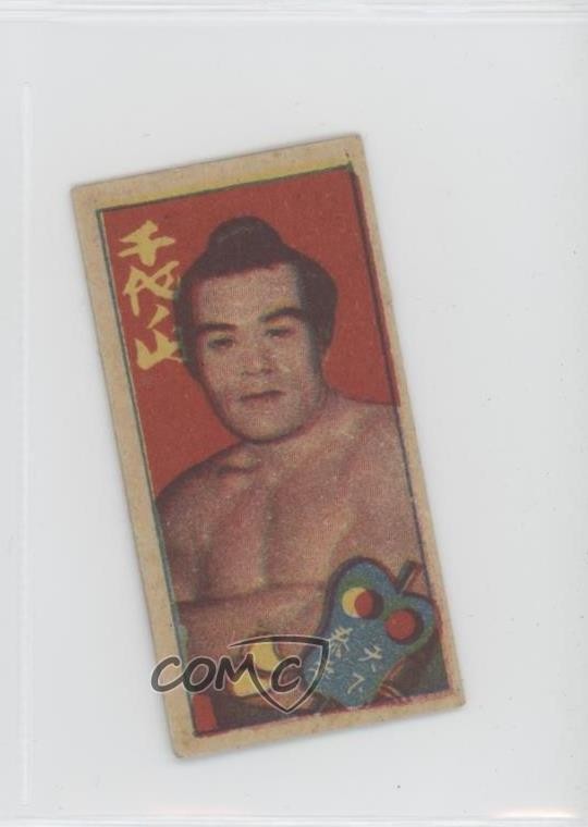 1950s Various Rectagular Sumo Menko #124897 0v7a