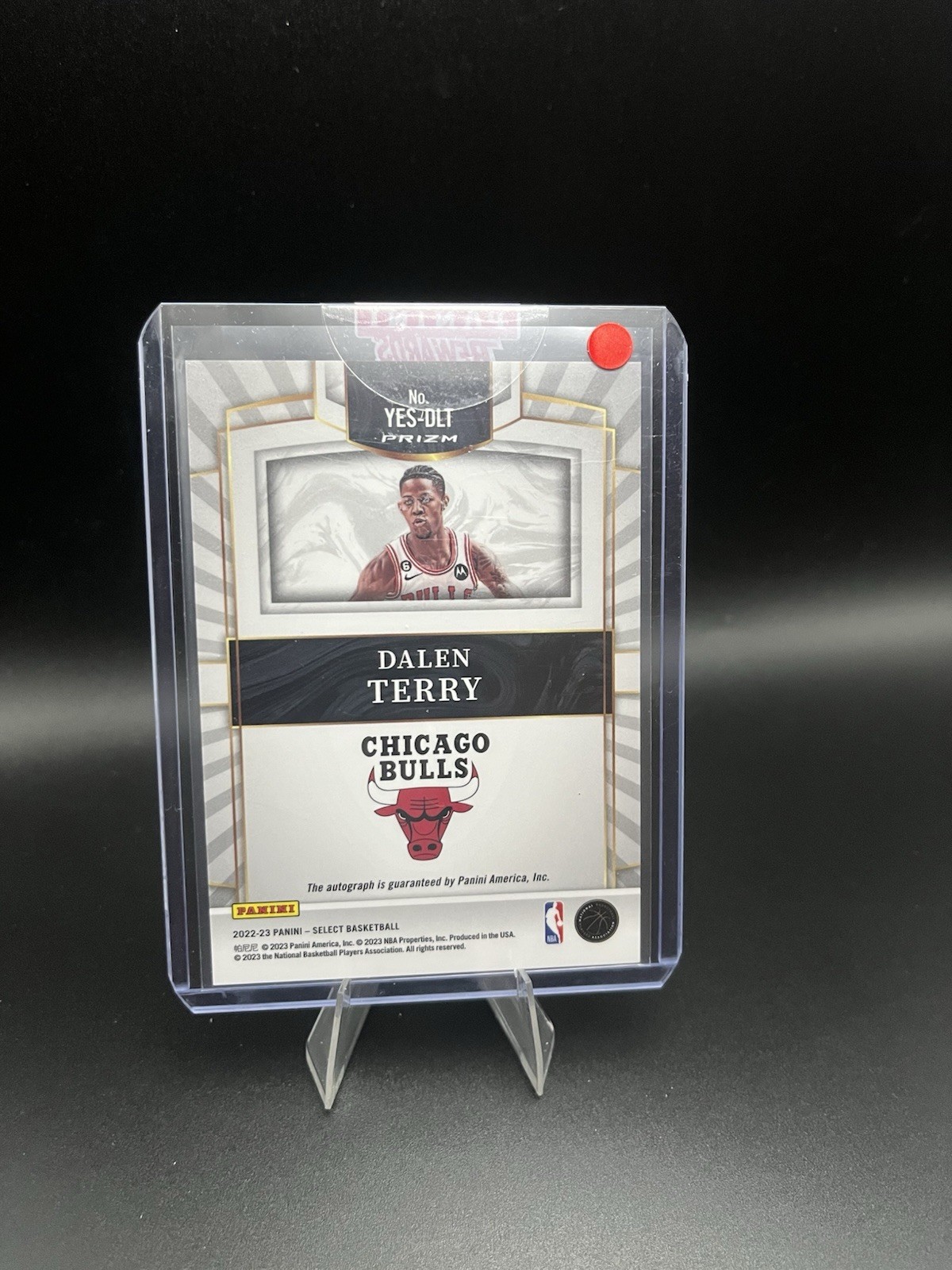 2022-23 Panini Select – Youth Explosion Signatures Dalen Terry #YES-DLT (AU, RC)