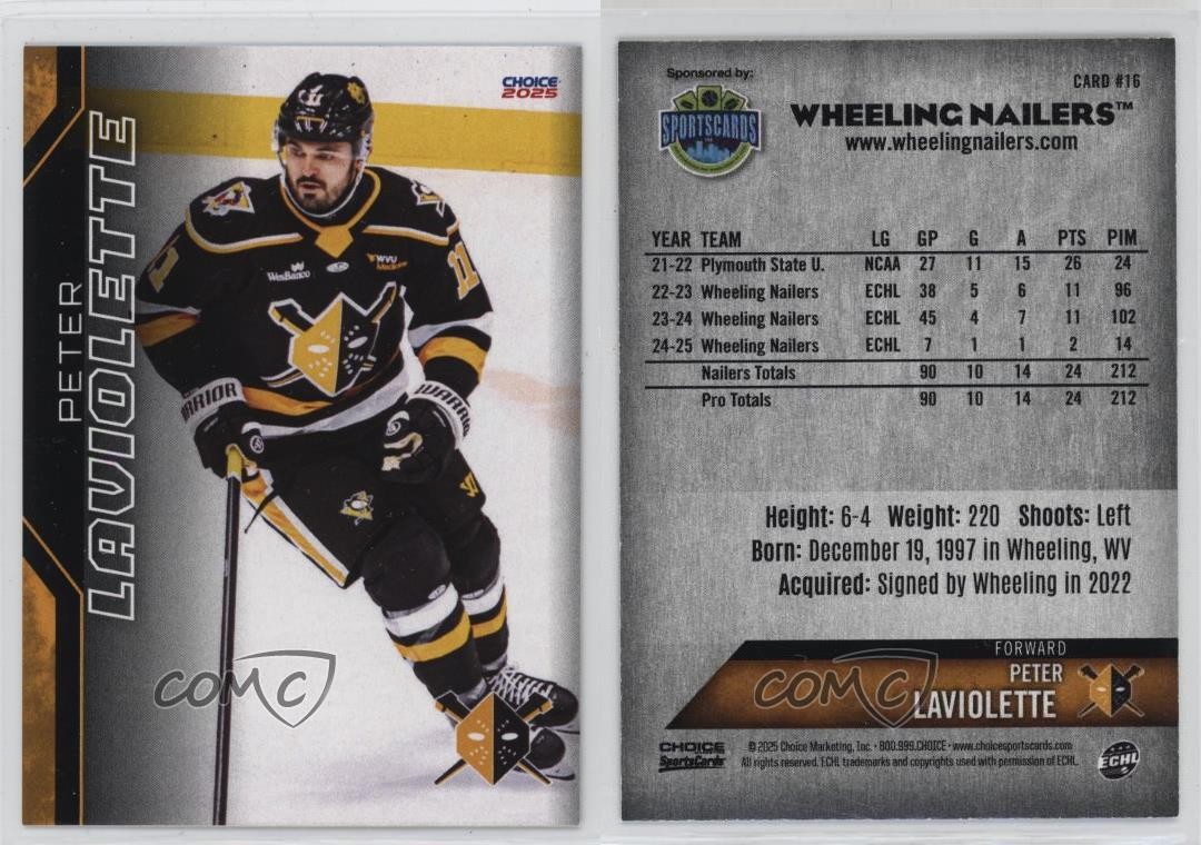 2024-25 Choice Wheeling Nailers Peter Laviolette #16 z7j