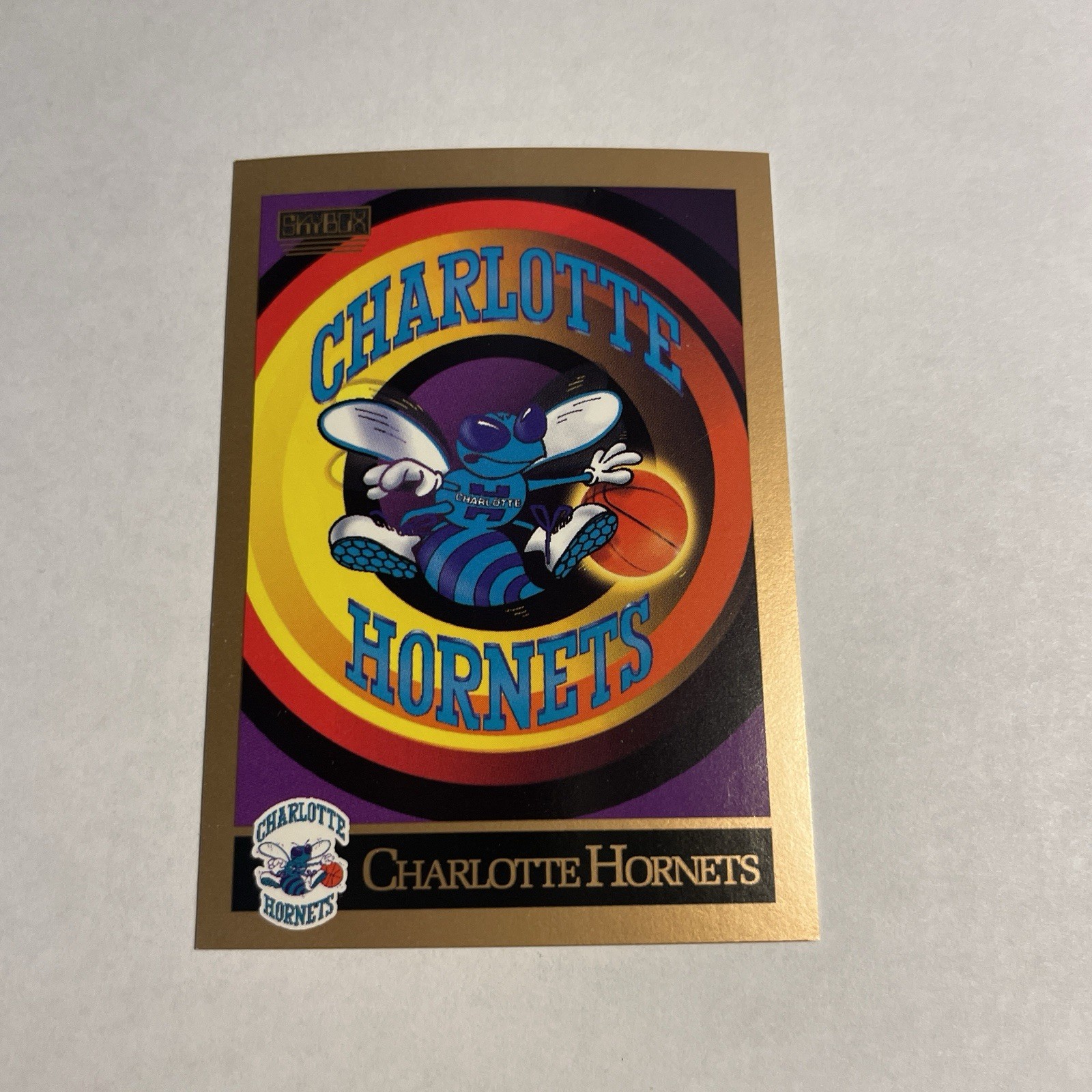 1990-91 SkyBox Charlotte Hornets Charlotte Hornets #330