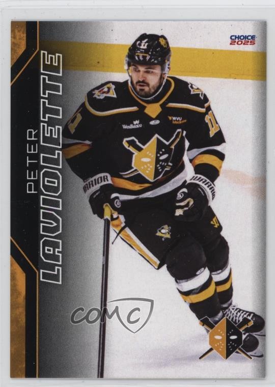 2024-25 Choice Wheeling Nailers Peter Laviolette #16 z7j