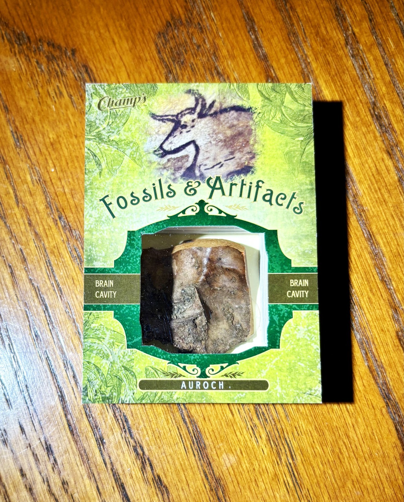 2011 UPPER DECK PARKHURST CHAMPS AUROCH BRAIN CAVITY ANIMAL FOSSILS & ARTIFACTS