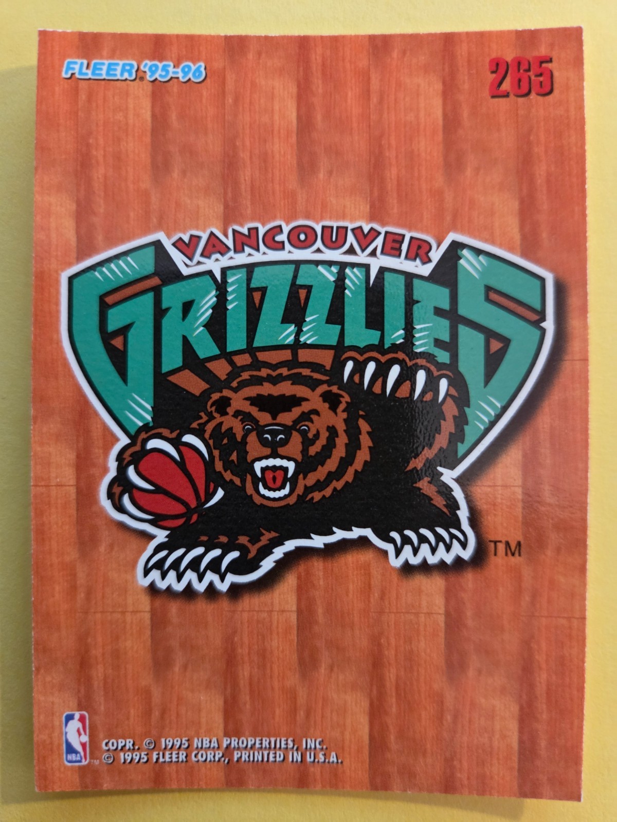 Vancouver Grizzlies 1995-96 Fleer European Team Card #265 RARE 90s NBA