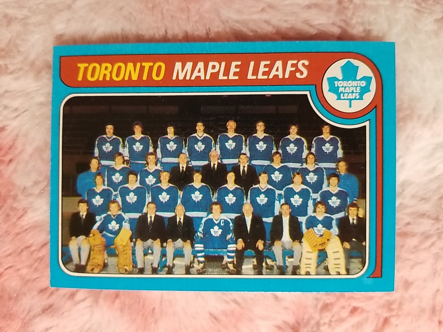 1979-80 Topps #258 Toronto Maple Leafs Team Checklist UNMARKED Hockey Card