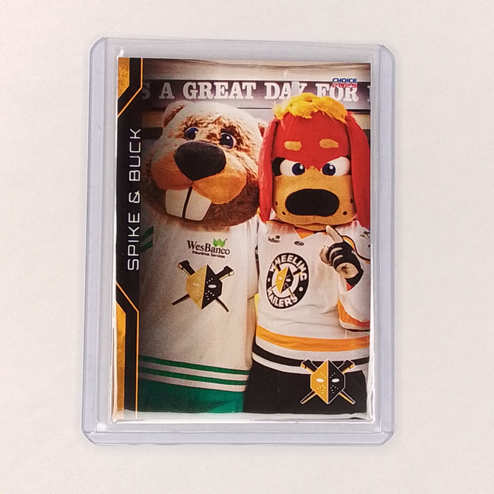2024-25 Wheeling Nailers (ECHL) Spike & Buck (mascots)
