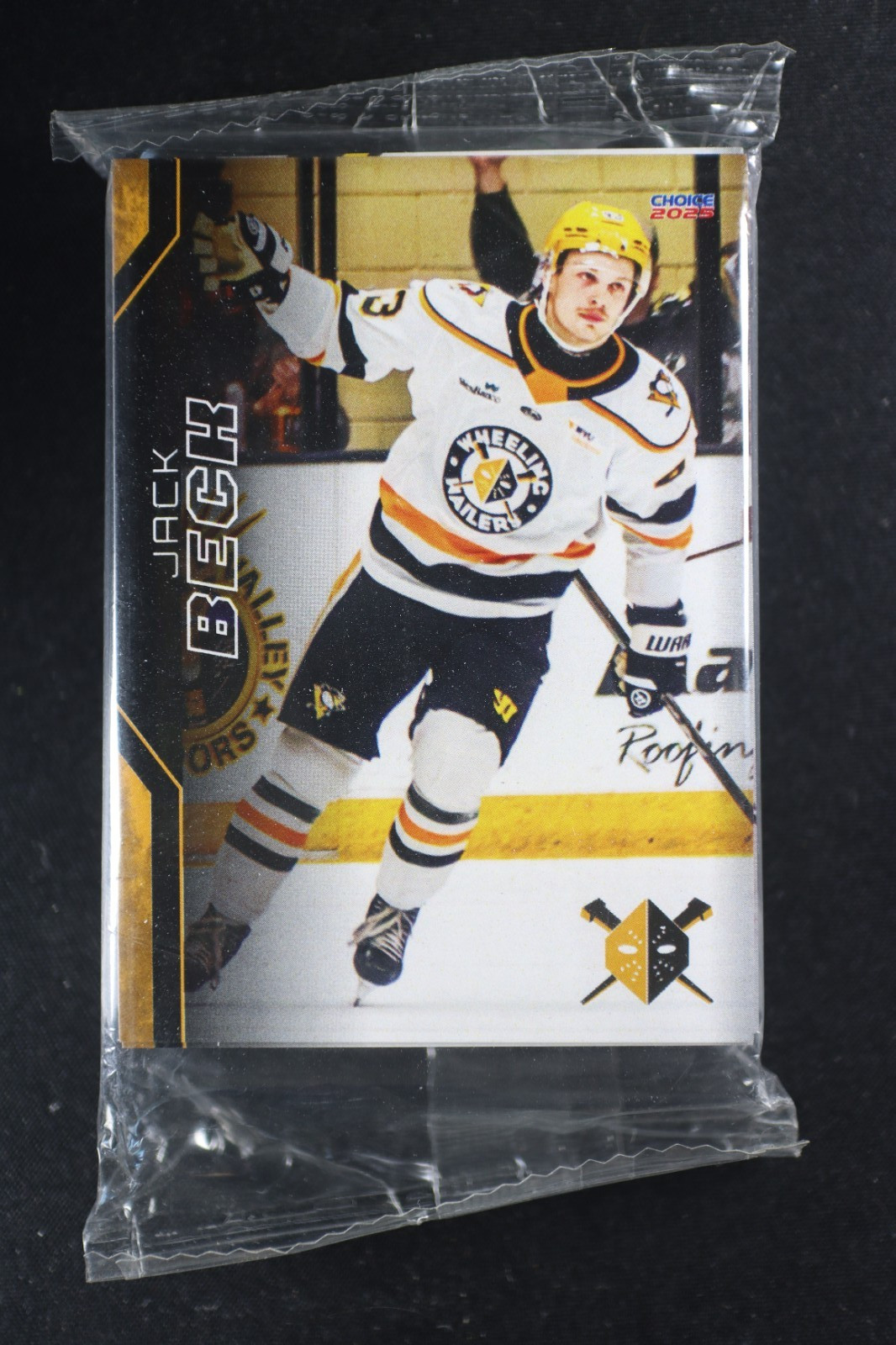 2024-25 Choice Sports Cards Wheeling Nailers 30 Card Team Set Sergei Murashov