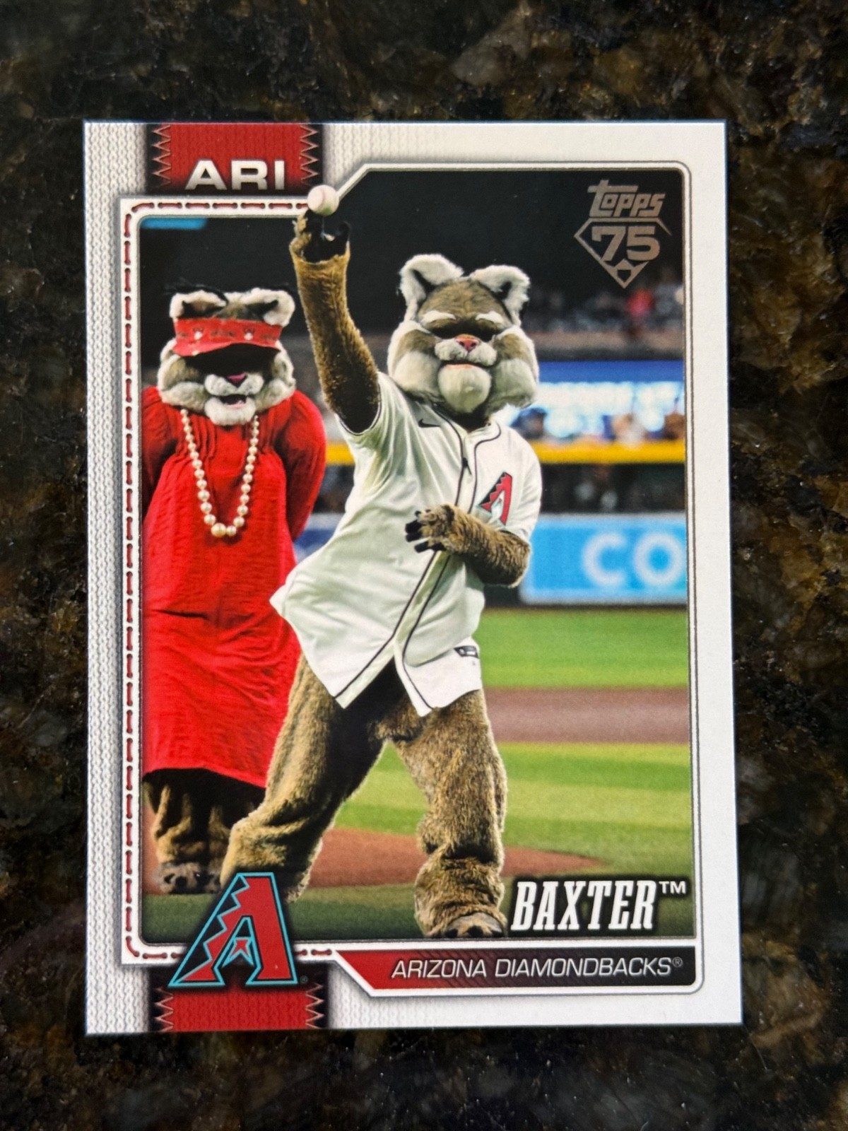 2026 TOPPS SERIES 1 BASEBALL CELEBRATION MEGA BOX – Inserts –