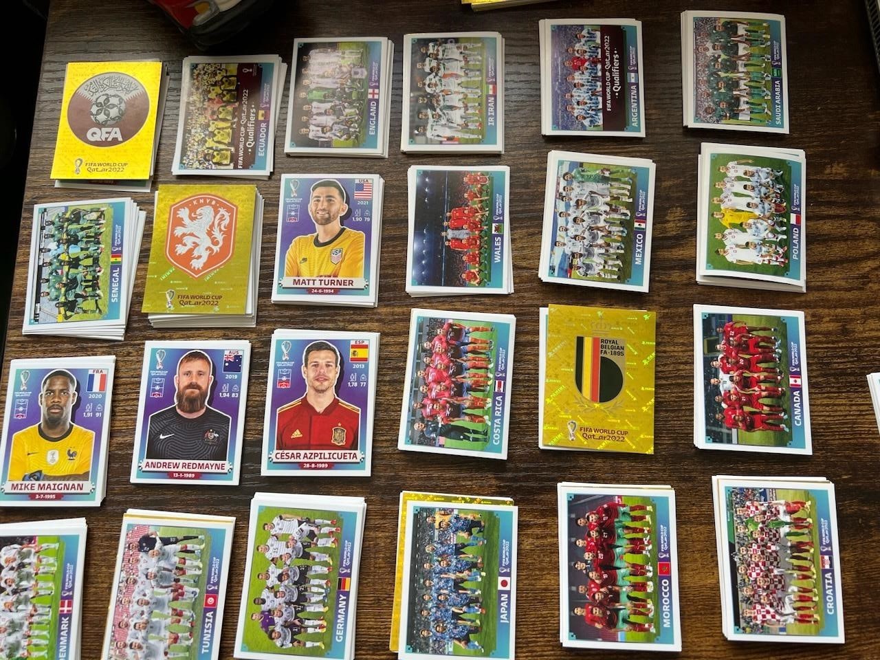 2022 panini world cup stickers (FWC- POL)